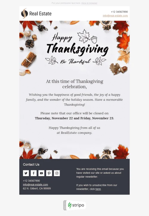 27597-Stripo-Real-Estate-Holiday-newsletter-Thanksgiving-Day-Wonderful-Time-email-web