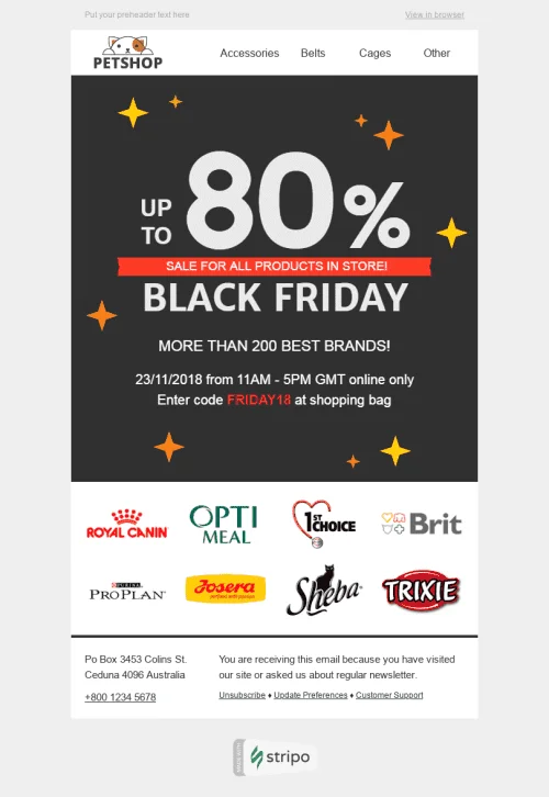 29952-Stripo-Pets-Holiday-newsletter-Black-Friday-Love-and-Care-email-web