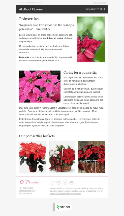 Email Digest Email Template "Pretty Plants" for Gifts & Flowers industry