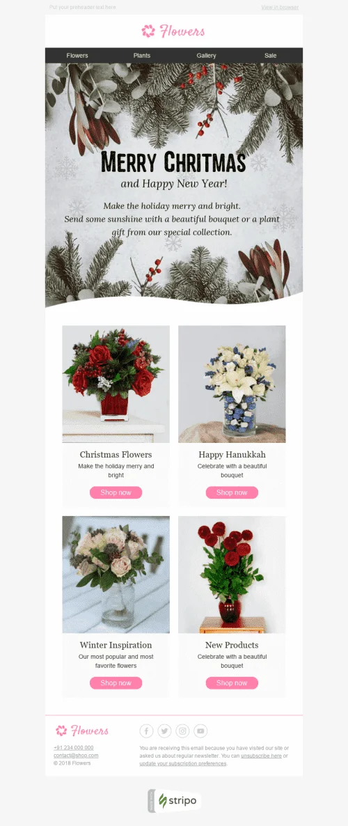 34144-Stripo-Gifts-Flowers-Holiday-newsletter-Christmas-New-Year-Winter-Inspiration-email-web