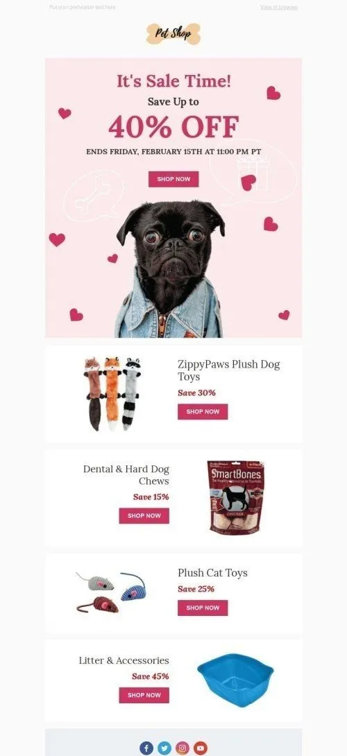 44795-Stripo-Pets-Holiday-newsletter-Valentines-day-Perfect-Gift-email-web1