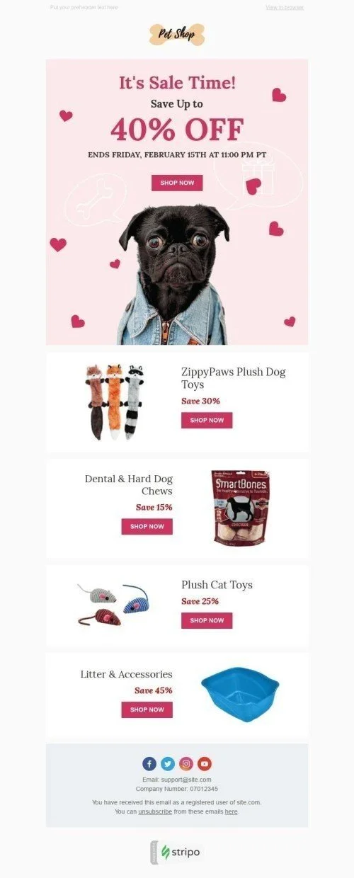 44795-Stripo-Pets-Holiday-newsletter-Valentines-day-Perfect-Gift-email-web1