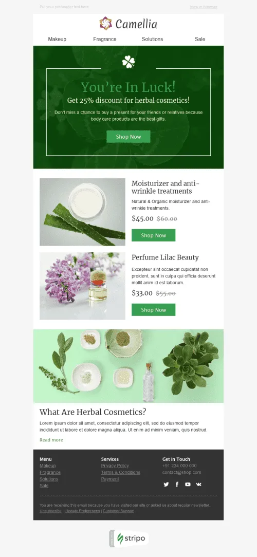 52686-Stripo-Cosmetics-Holiday-newsletter-Saint-Patricks-Day-Herbal-email-web