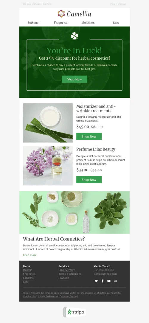 52686-Stripo-Cosmetics-Holiday-newsletter-Saint-Patricks-Day-Herbal-email-web