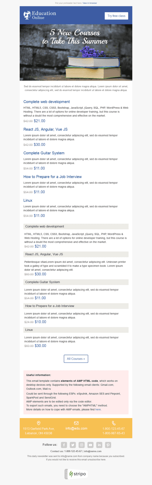 New Knowledge Email Template by Stripo.email
