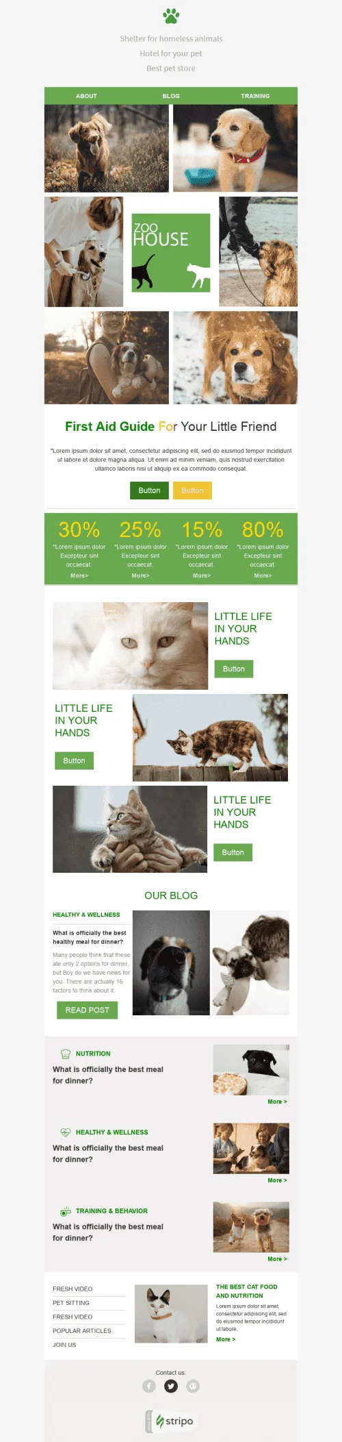 95854-Stripo-Pets-Promo-newsletter-Pets-Place-email-web
