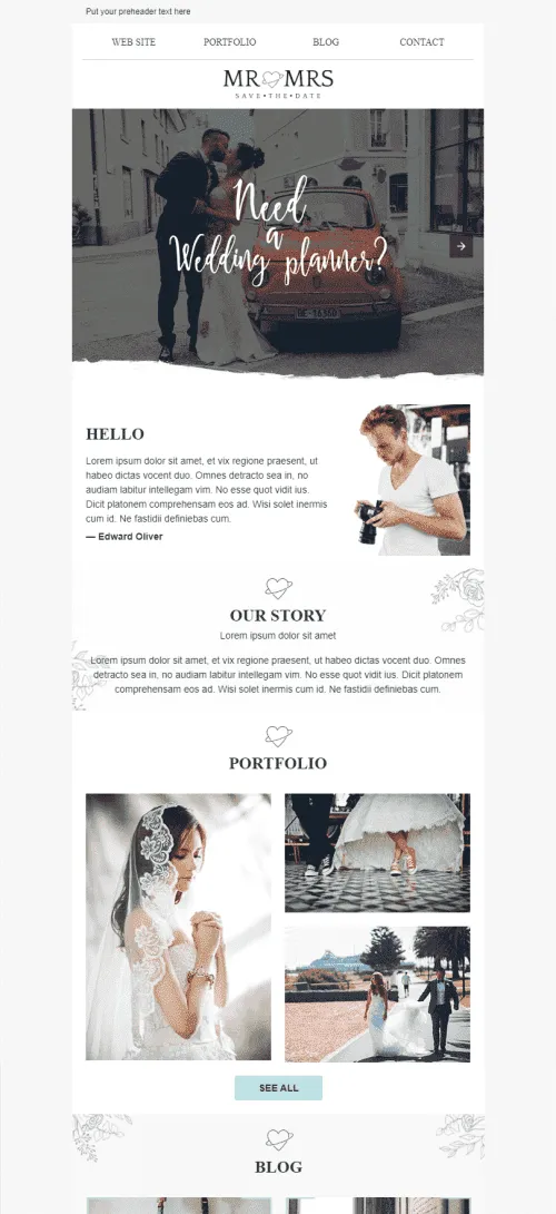232568-Stripo-Photography-Promo-newsletter-Save-The-Day-email-web