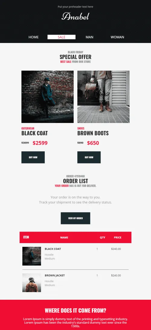 248635-Stripo-Fashion-Promo-newsletter-Performance-Of-Store-Brands-email-web