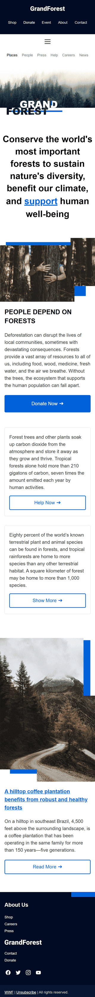 Modello Email Promo «Grand Forest» per il settore industriale di No profit e beneficenza Visualizzazione mobile