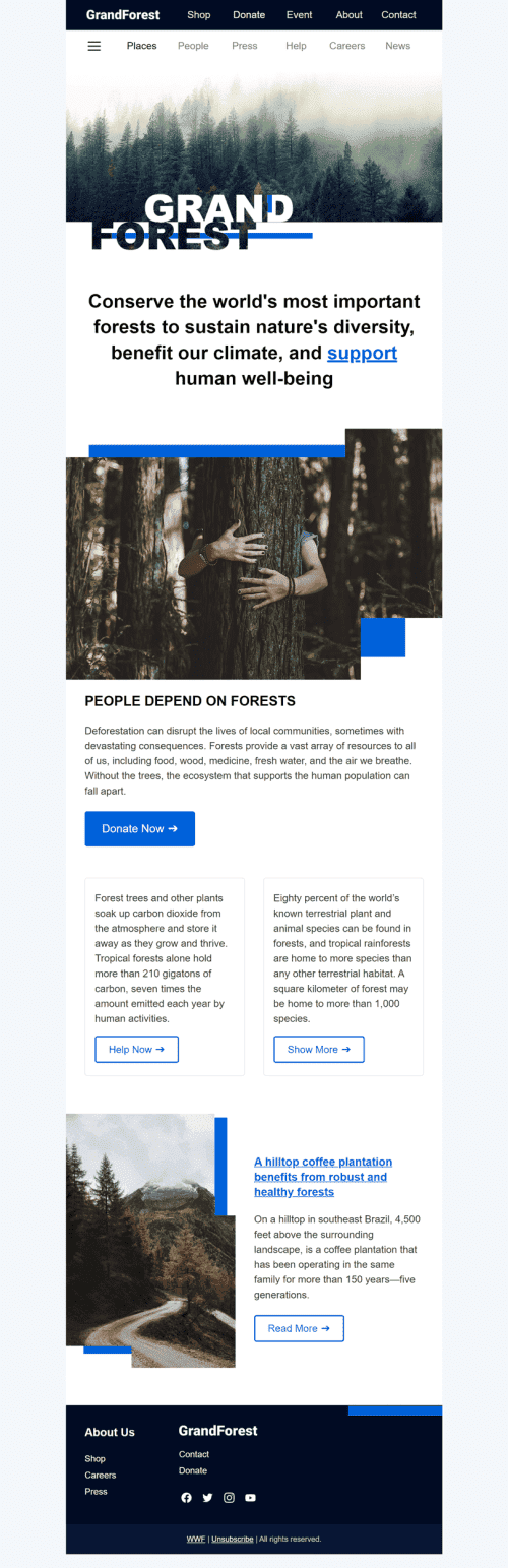 Modello Email Promo «Grand Forest» per il settore industriale di No profit e beneficenza Visualizzazione desktop