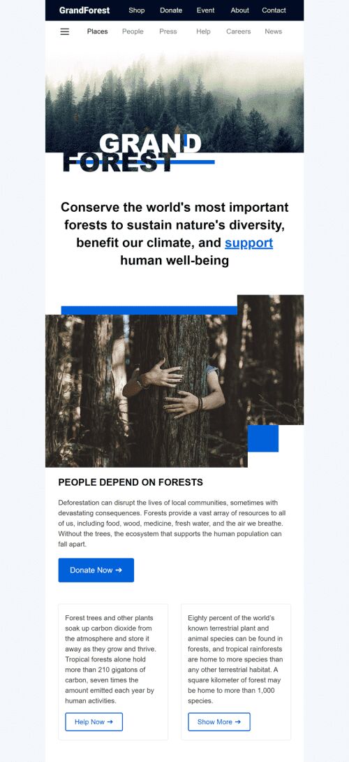 Plantilla de correo electrónico «Gran bosque» de Promoción para la industria de Sin fines de lucro y caridad Vista de móvil