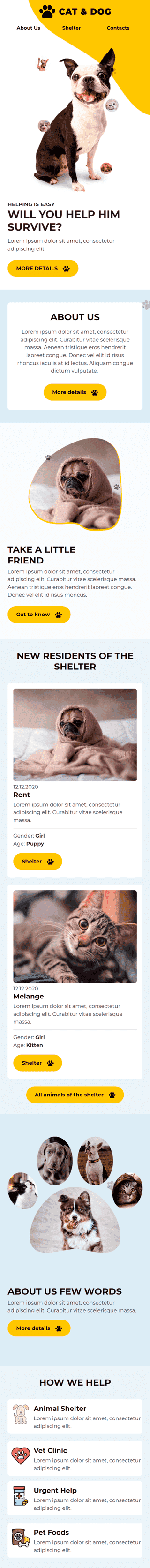 Modello Email Promo «Cani e gatti» per il settore industriale di No profit e beneficenza Visualizzazione mobile