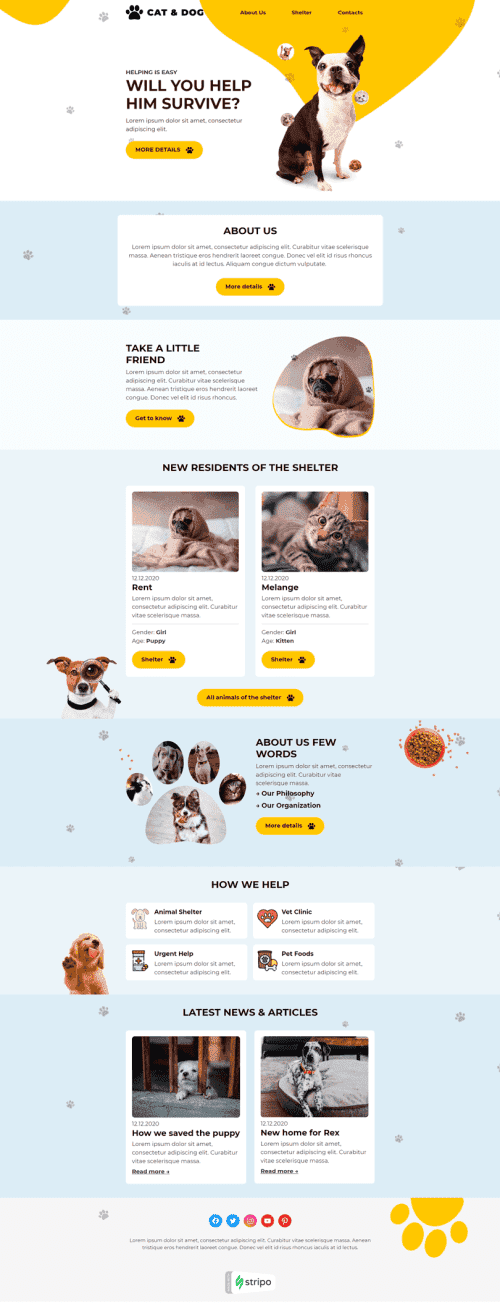 Modello Email Promo «Cani e gatti» per il settore industriale di No profit e beneficenza Visualizzazione desktop