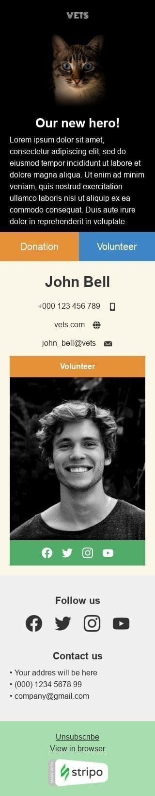 Promo Email Template «Our new hero» for Nonprofit industry mobile view
