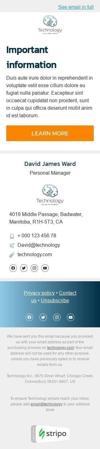 Important information Email Template by Stripo.email