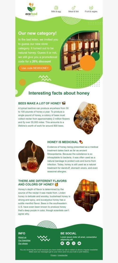 Promo Email Template "Natural honey" for Organic & Eco Goods industry desktop view