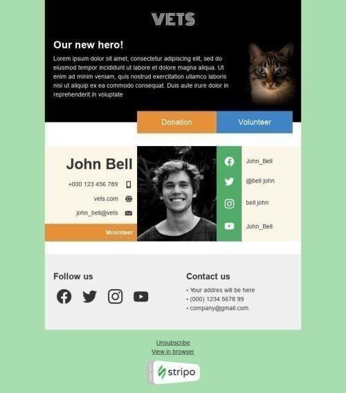 Werbung E-Mail-Vorlage «Unser neuer Held» für Gemeinnützig & Wohltätigkeit-Branche Ansicht auf Mobilgeräten
