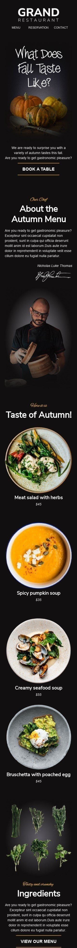 Plantilla de correo electrónico «¿A qué sabe el otoño?» de Primer dia de otoño para la industria de Restaurantes Vista de móvil