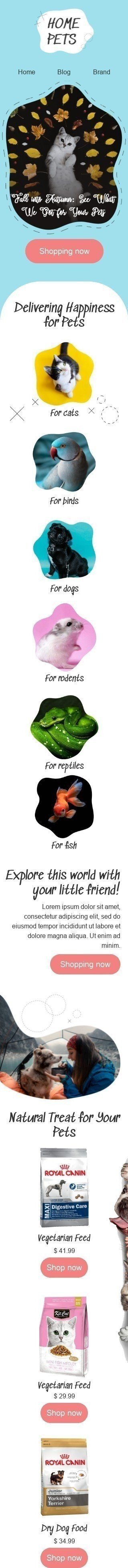 Modèle de courrier électronique Premier jour d'automne «Animaux domestiques» pour le secteur Animaux Affichage mobile