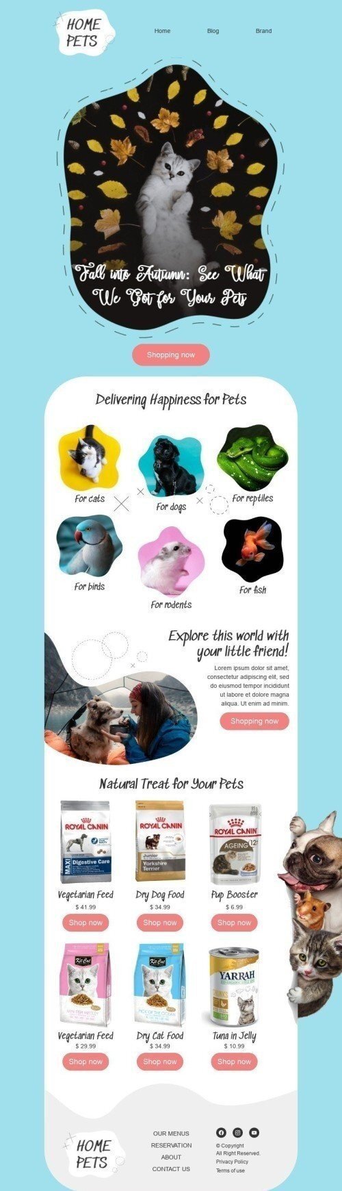 Modèle de courrier électronique Premier jour d'automne «Animaux domestiques» pour le secteur Animaux Affichage ordinateur