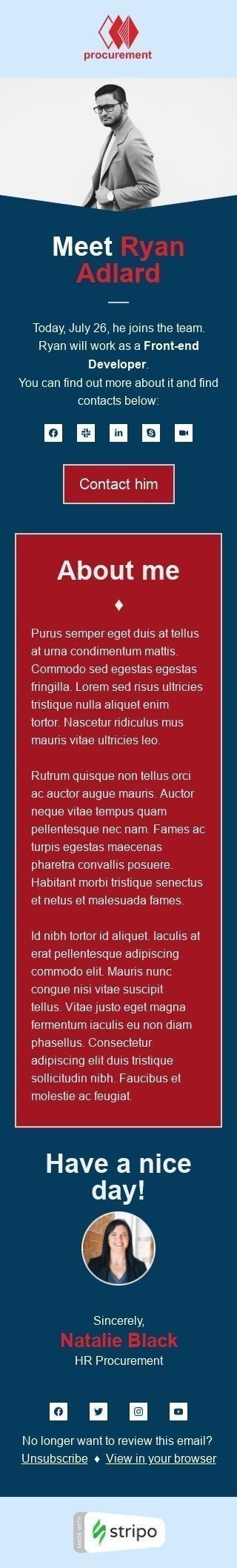 Plantilla de correo electrónico «Desarrollador front-end» de Internos para la industria de HR Vista de móvil