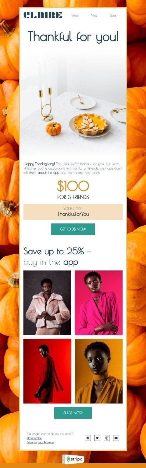 Thanksgiving Day Email Template "Thankful for you!" for Fashion industrydesktop view