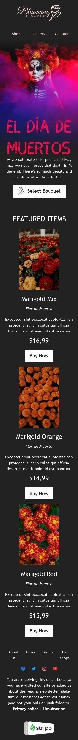 Шаблон листа до свята День мертвих «Чорнобривці» для індустрії «Подарунки та Квіти» мобільний вигляд