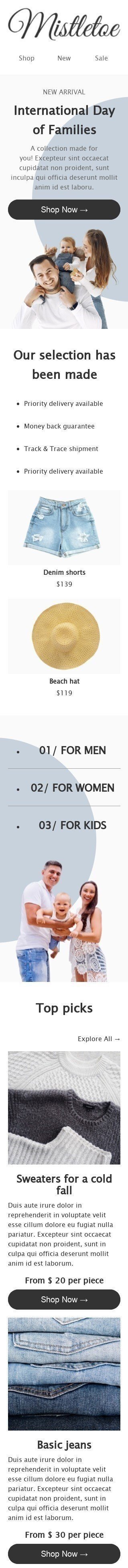 Modelo de E-mail de «Mistletoe» de Dia Internacional das Famílias para a indústria de Moda Visualização de dispositivo móvel