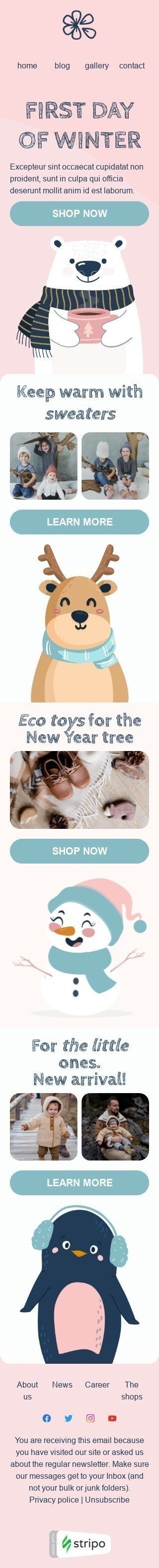 Eco toys Email Template by Stripo.email