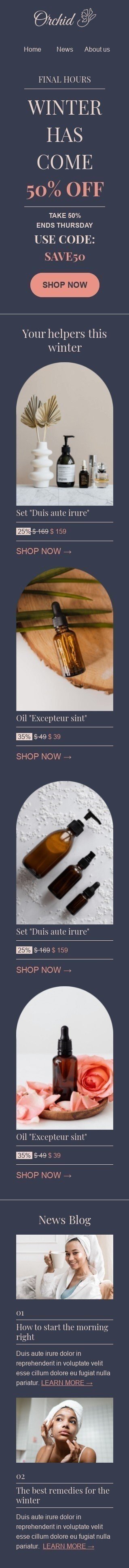 Шаблон письма к празднику Зима «Лучшие средства на зиму» для индустрии «Косметика» мобильный вид