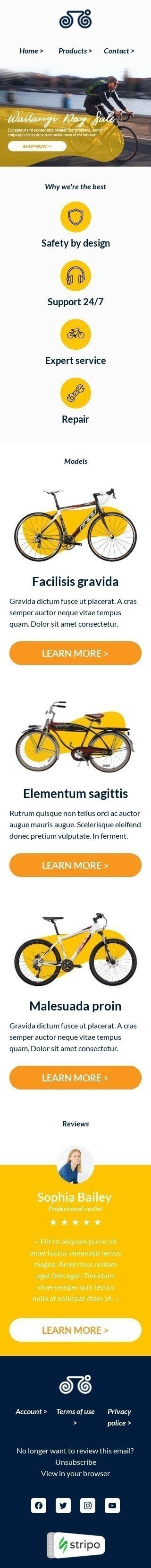 Modello Email Giorno di Waitangi «Servizio esperto» per il settore industriale di Sport Visualizzazione mobile