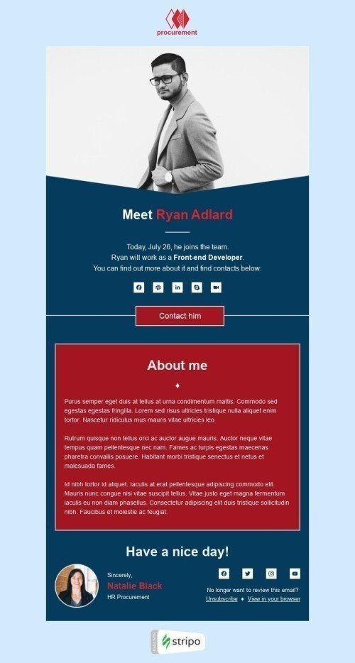 Plantilla de correo electrónico «Desarrollador front-end» de Internos para la industria de HR Vista de escritorio