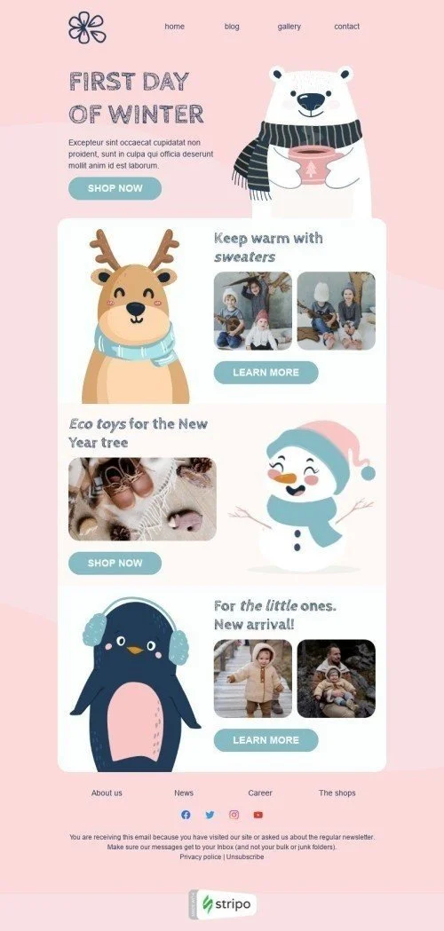 Winter Email Template "Eco toys" for Fashion industry