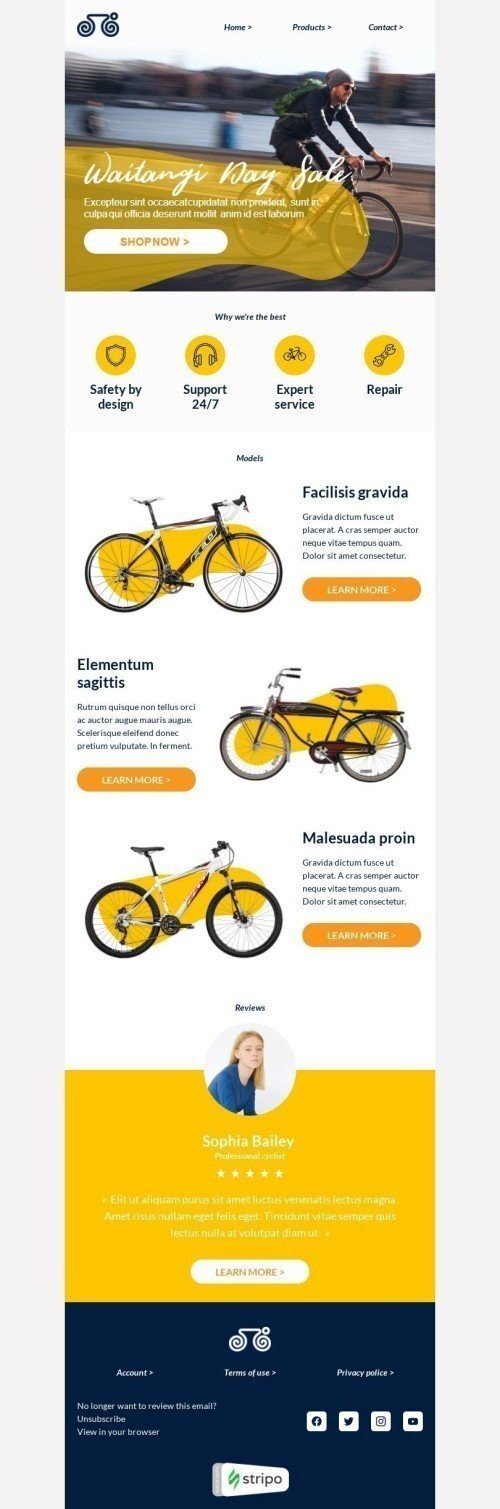 Modello Email Giorno di Waitangi «Servizio esperto» per il settore industriale di Sport Visualizzazione desktop