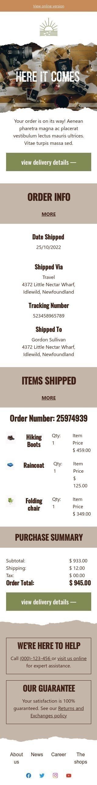 Lieferung E-Mail-Vorlage «Hier kommt es» für Tourismus-Branche Ansicht auf Mobilgeräten