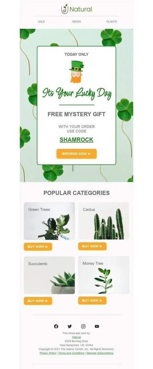 St. Patrick’s Day Email Template "Free mystery gift" for Furniture, Interior & DIY industry