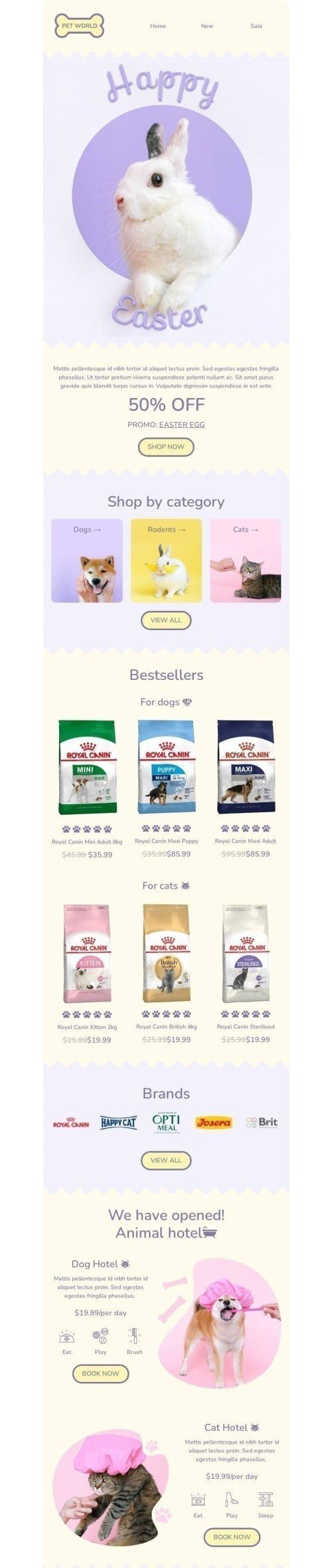 Modelo de E-mail de «Coelhinho da Páscoa» de Páscoa para a indústria de Animais de estimação Visualização de desktop