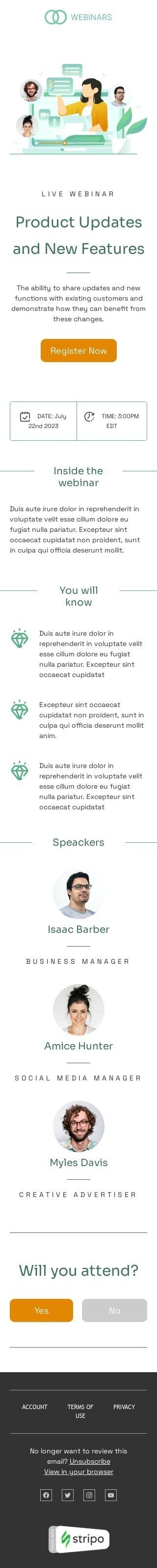 Product updates and new features Email Template by Stripo.email