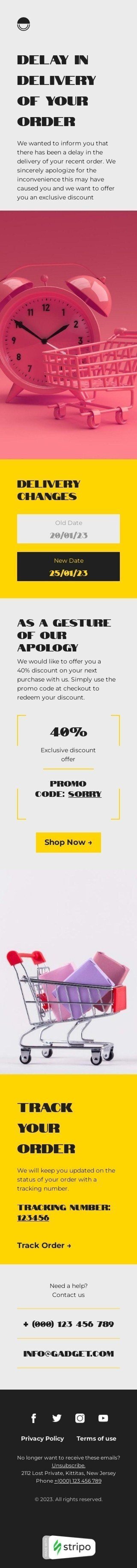 Шаблон письма «Эксклюзивное предложение со скидками» тематики задержка доставки для индустрии «Гаджеты» мобильный вид