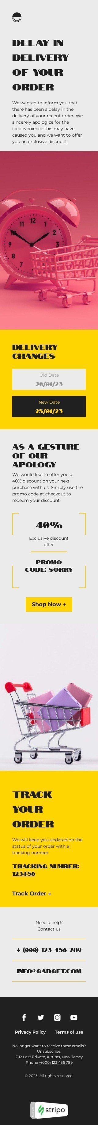 Exclusive discount offer Email Template by Stripo.email