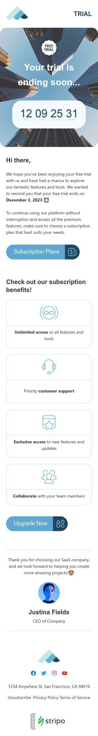 Plantilla de correo electrónico «Tu prueba terminará pronto» de SaaS para la industria de software y tecnología Vista de móvil