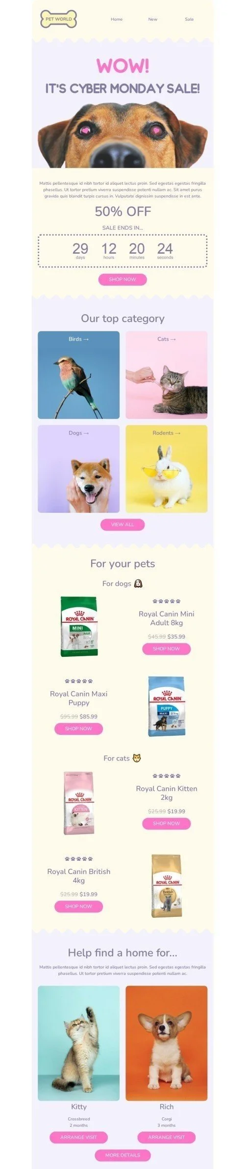 Cyber Monday email template "Cyber Monday sale" for pets industry