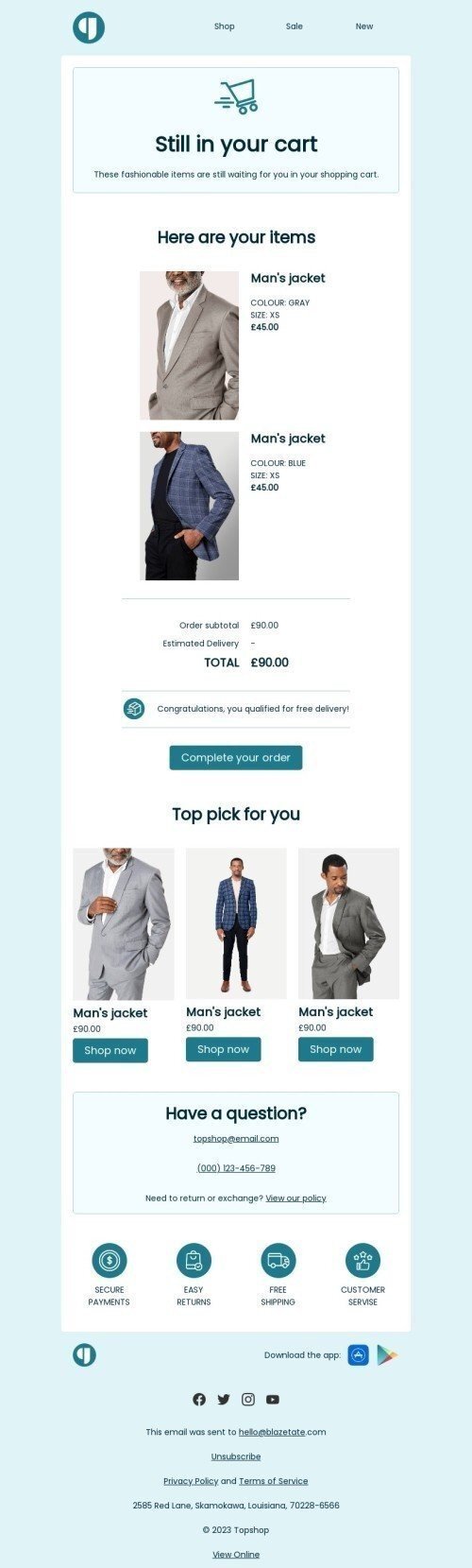 Abandoned cart email template "Still in your cart" for ecommerce industrydesktop view