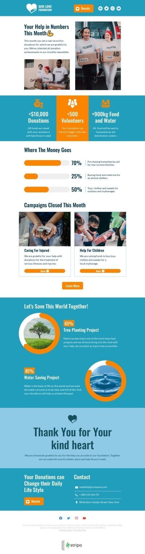 Promo email template "Statistic-based email" for nonprofit industrydesktop view
