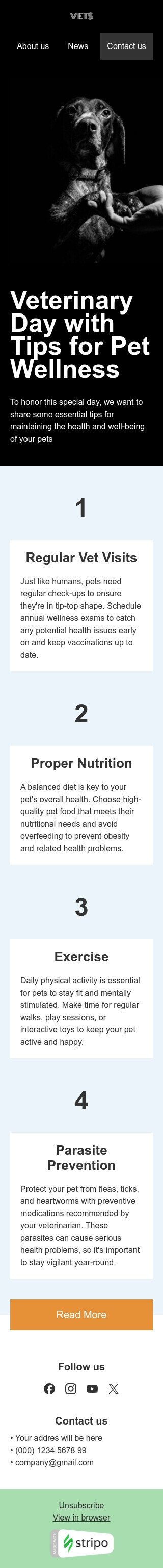 Tag des Tierarztes E-Mail-Vorlage «Tipps für das Wohlbefinden von Haustieren» für haustiere-Branche Ansicht auf Mobilgeräten