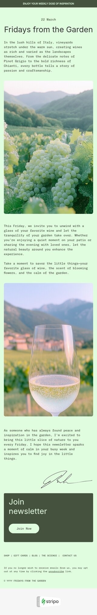 Шаблон письма «Fridays from the Garden» тематики дайджест рассылка для индустрии «Напитки и кофе» мобильный вид