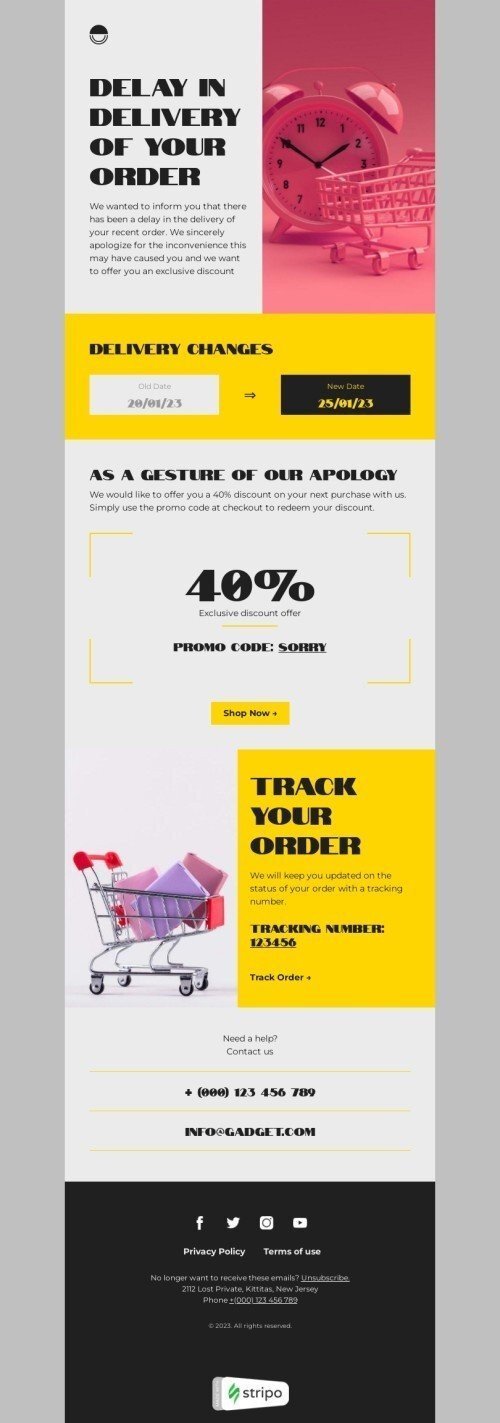 Modèle de courrier électronique retard d'expédition «Offre de réduction exclusive» pour le secteur gadgets Affichage mobile