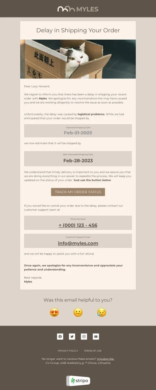 Shipping delay email template "Delay in shipping your order" for fashion industry