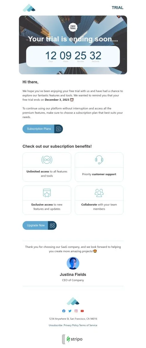 SaaS email template "Your trial is ending soon" for software & technology industry