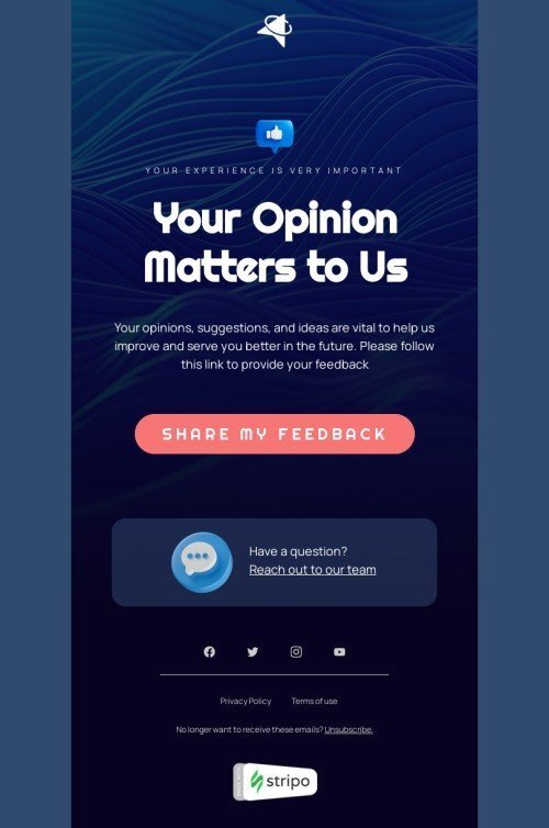 SaaS email template "Your experience is very important" for business industrydesktop view